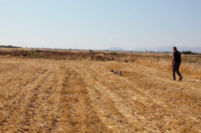 Αγωνες Α.Κ.Ι 18/6/2017